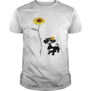 You Are My Sunshine Dachshund Shirt